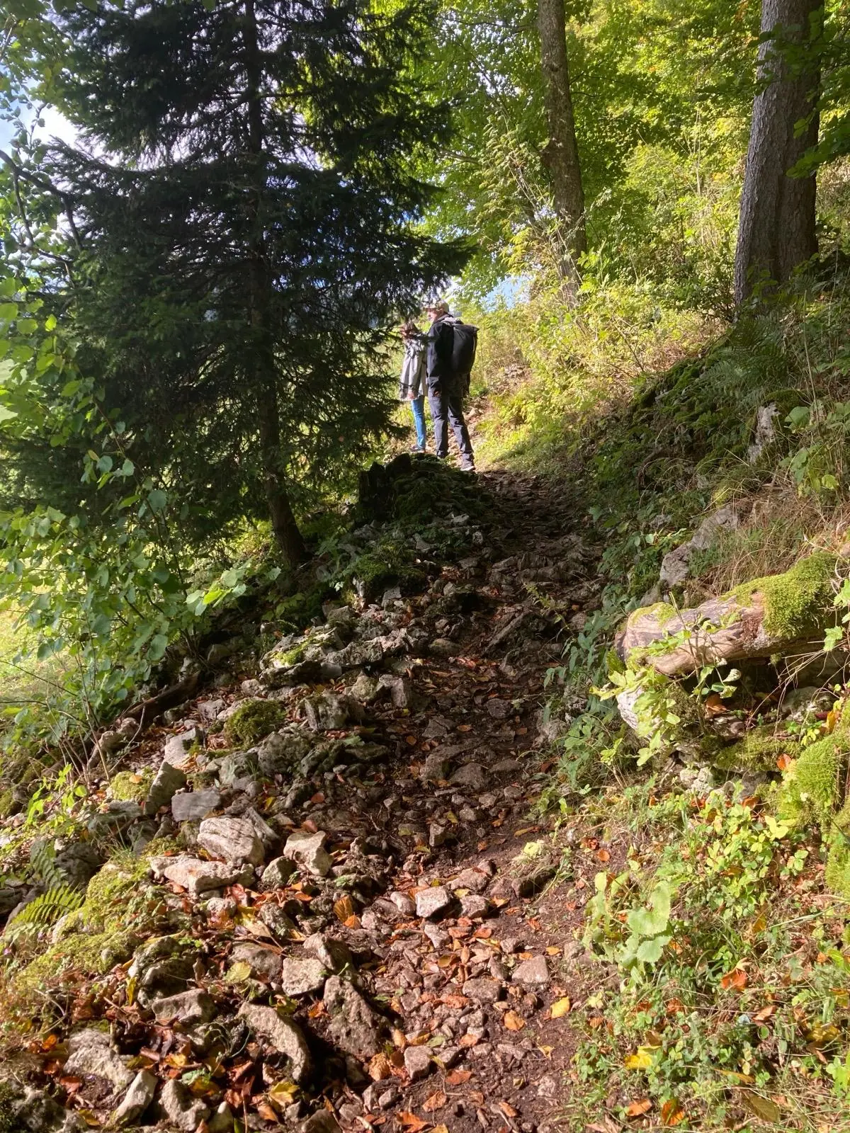 Two hikers ascending a rocky forest path scattered with autumn leaves